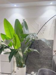 -春田皮肤管理中心品牌旗舰店