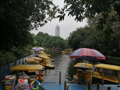 -晓港公园