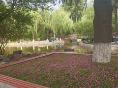 -西安市长乐公园