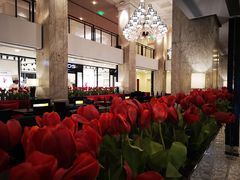 大堂-Salon de The de Joel Robuchon(外滩18号店)