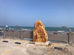 -广东惠东海龟国家级自然保护区