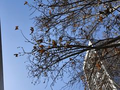 -北京金龙潭御瑞酒店(花园桥地铁站店)