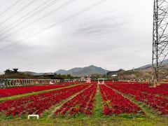 -盈香心动乐园