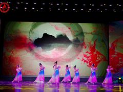 -西安小天鹅艺术团(曲江Alice店)