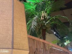 -大头椰·椰子鸡火锅(南宁万象城店)