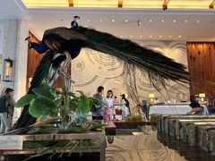 -西双版纳融创皇冠假日度假酒店