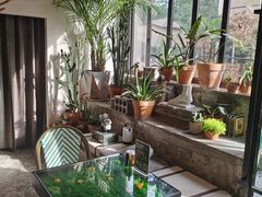 -PlantsEatery·植物食堂(REX春熙店)