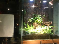 -有才叔的小馆(招商依云曲江店)