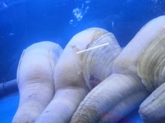 -舟山海鲜·江浙菜(银沙路店)