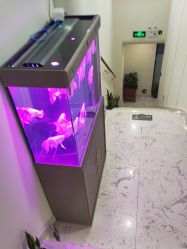 -海涛医疗美容·面部抗衰·注射美鼻