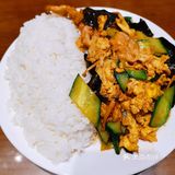 猫咪大佬打卡 | 带老妈吃盖饭