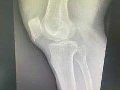 -上海安亭别墅花园酒店