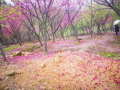 -福清灵石山国家森林公园