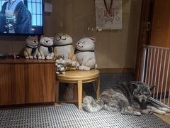 -大江户·温泉洗浴(浑南店)
