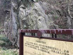 -木兰云雾山