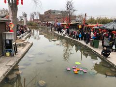 -茯茶镇