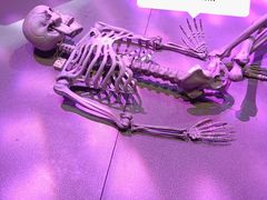 -友坐OMNI(民园广场店)