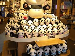 -熊猫屋(宽窄巷子景区店)