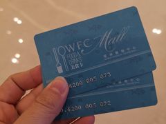 -WFC会仙楼观景台