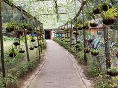 -北海金海湾红树林生态旅游区