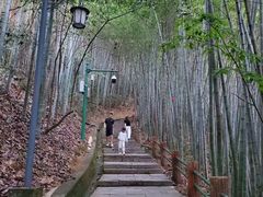 -敬亭山风景名胜区