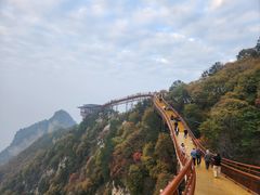 -少华山国家森林公园