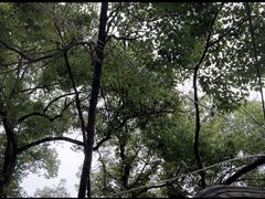 -乌山风景区