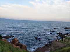 -小麦岛公园