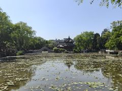 -莲池书院博物馆