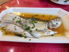 -明珠湖天鹅苑·农家菜馆