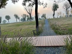 -汉长安城未央宫国家考古遗址公园