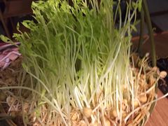 豆芽-大头椰·椰子鸡火锅(南宁万象城店)