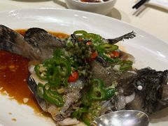 -利苑酒家(华熙国际店)