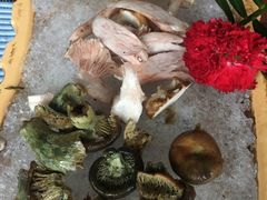 -滇釜火锅·能喝汤的火锅(车公庄店)