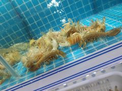 水产区-东厨虾煌(电子街店)