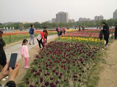 -廊坊文化艺术中心