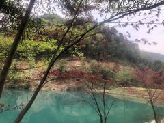 -四明山国家森林公园
