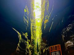 -梭布垭石林景区