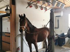 -北京群众马术培训基地