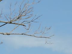 -贡湖湾湿地公园