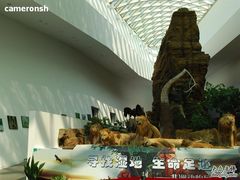 -中国湿地博物馆