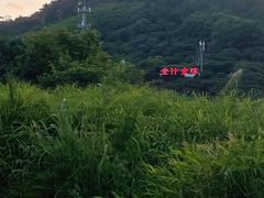 -全汁全味驴庄(凤岗店)