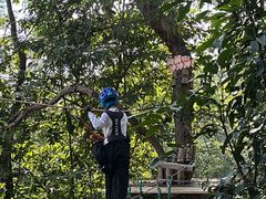 -芦仙山景区-飞越丛林探险乐园