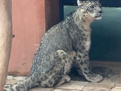 -青藏高原野生动物园