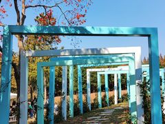 -同里国家湿地公园