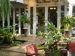 -Fern Forest Cafe