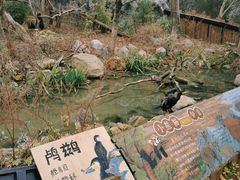 -红山森林动物园