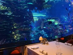 -迪拜帆船酒店海底餐厅