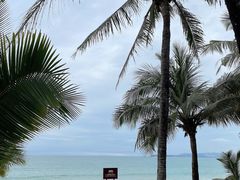 -三亚海棠湾万丽度假酒店