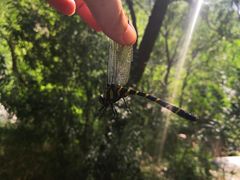 -碓臼峪自然风景区